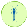 silverfish control